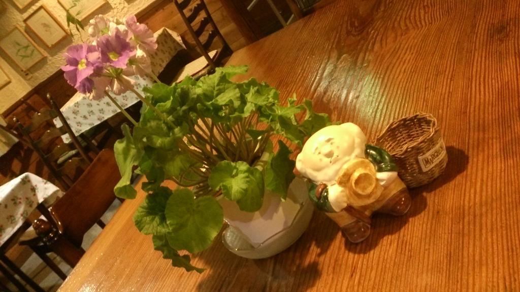 Gallery & Lodge Noichigo Hakuba Exterior foto